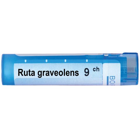 ruta-graveolens-9-ch